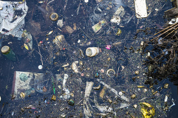不法投棄のゴミで溢れる水面