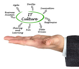 Characteristics of IT Culture