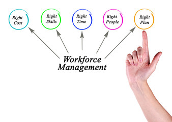 Workforce Management targets