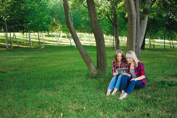 Fototapeta na wymiar Two happy friends searching media content online in a laptop sitting on the grass in a park
