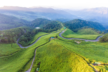 Obraz premium Aerial view of Mexican Flower with cuved road on the mountain peak, Mea Hong Son Province, Thailand