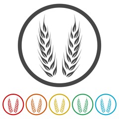 Wheat icon, Wheat ears icon, 6 Colors Included