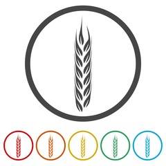 Wheat icon, Wheat ears icon, 6 Colors Included
