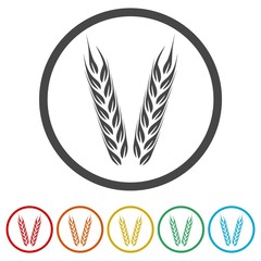 Wheat icon, Wheat ears icon, 6 Colors Included
