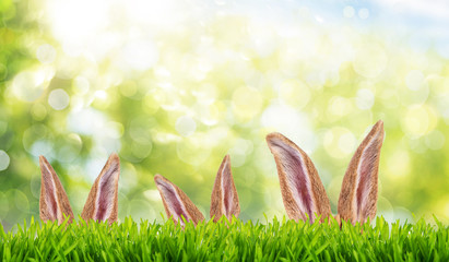 Frohe Ostern