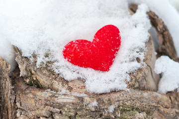 Fototapeta premium red felt heart figure on tree under snow, winter day