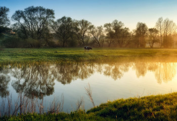 spring morning. a picturesque foggy dawn by the river. Sun rays