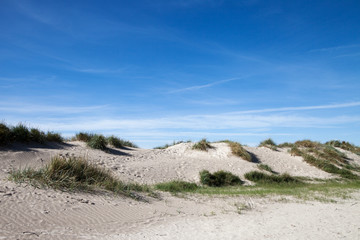 Sandy dunes at Baltic sea.