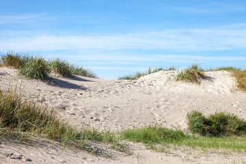 Fototapeta na wymiar Sandy dunes at Baltic sea.