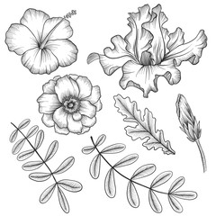 vintage vector floral set