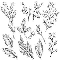 vintage vector floral set