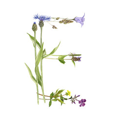 floral watercolor letter E