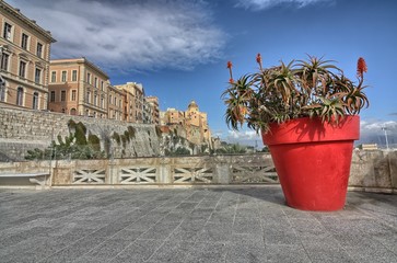 Cattedrale di Cagliari