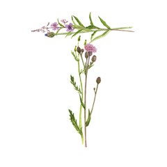 floral watercolor letter T