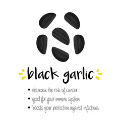 Benefits of black garlic, trendy superfood with doodle, hand drawn illustration isolated on white background.