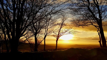 Naklejka premium Moor Sunset