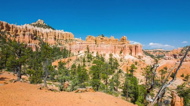Green pine-trees on rock slopes. Spectacular view at the cliffs and cloud sky. Amazing mountain landscape. Nature video. Bryce Canyon National Park. Utah. USA. 4K, 3840*2160, high bit rate, UHD