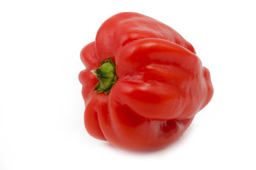 Rote Habanero