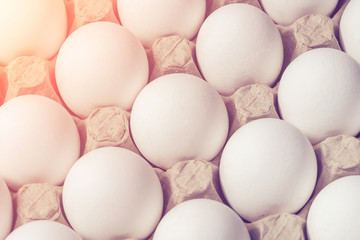 White chicken eggs in a cardboard box, background, texture. Toned