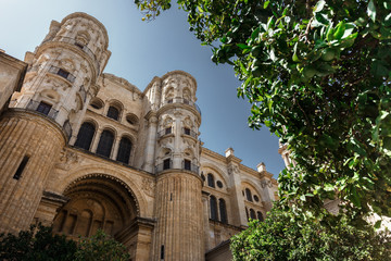 Naklejka premium Central cathedral of Malaga, andalusia, Spain.