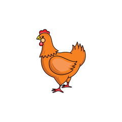 Side-view portrait of brown hen, chicken, hand-drawn vector illustration isolated on white background. Standing brown chicken, hand-drawn illustration