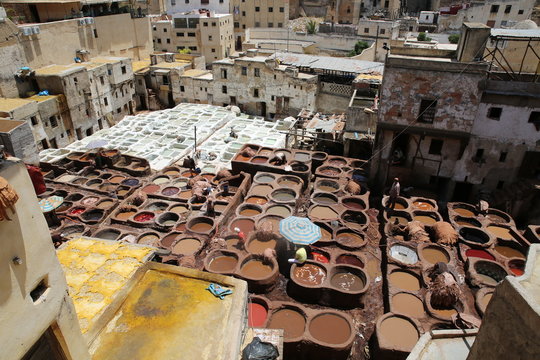 Fez, Morocco Tannery