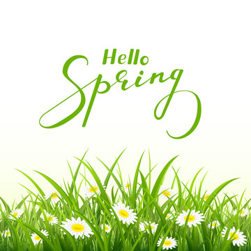 Lettering Hello Spring and nature background with grass
