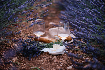 Fototapeta premium Wiekowy ser camembert, świeżo upieczone bagietki, dwie szklanki wina różowego i bukiet świeżo zebranego pikniku lawendowego w lawendowym polu, lato Prowansja, południowa Francja