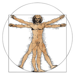 Vitruvian Man by Leonardo Da Vinci - 191172406