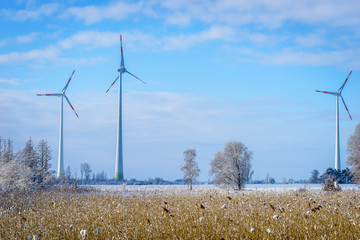 Wind power plants at a cold winter day