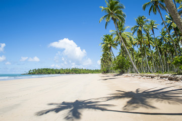 Obraz premium Scenic view of a remote Brazilian beach with shadows of palm trees falling on the shore in Bahia, Brazil