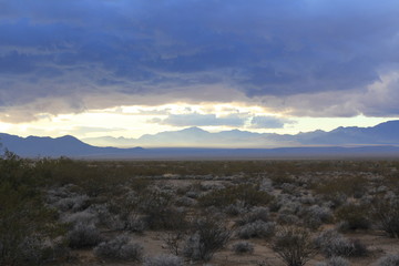 Storm in the Mojave desert