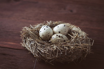 Naklejka na ściany i meble Quail eggs in bird nest on wooden table