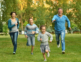 Fototapeta premium family in the green summer park