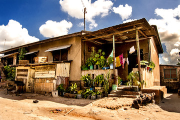 Local house and plants