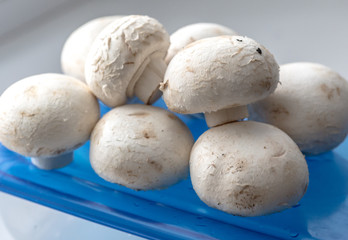 Fototapeta na wymiar Fresh mushrooms champignons