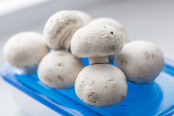 Fresh mushrooms champignons