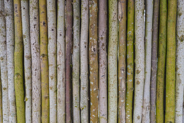 Fence from aspen with bark of different shades