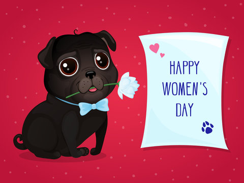 Greeting card for Women's Day with a cute black pug. Vector cartoon dog with flower and poster. Text "Happy Women's Day ".