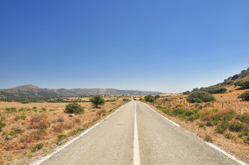 Landscape with green fields and a long road disappearing out in the horizon.
