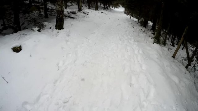 Hiking in deep winter forest with nordic walking sticks - camera mount on head