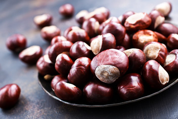 raw chesnuts