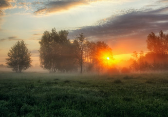 spring morning. a misty dawn in a picturesque meadow. Sun rays