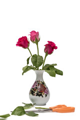 Roses in the vase isolated on white background.