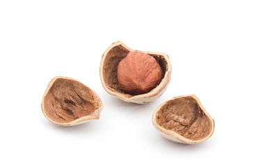 hazelnuts