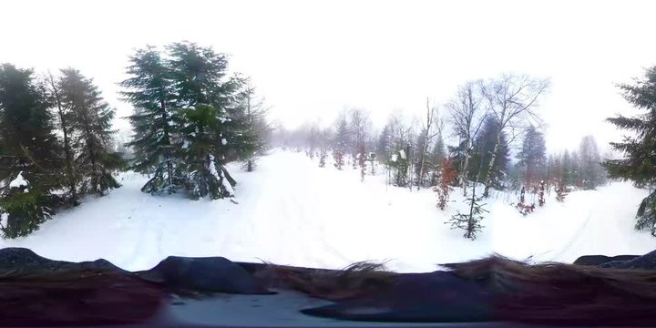 Man Walking in deep winter forest - 360 Virtual Reality First Person View