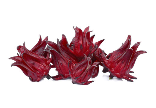 Roselle Hibiscus sabdariffa red fruit flower isolate on white background.