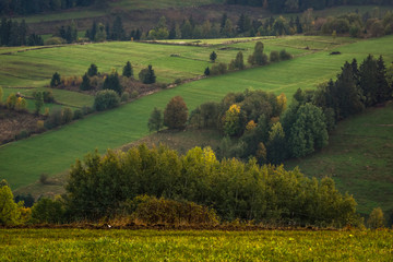 Landscape with trees and meadow at autumn in Tatra mountains, Poland