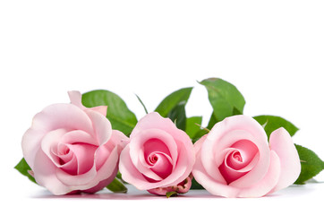 bouquet  of beautiful pink roses lying on white background