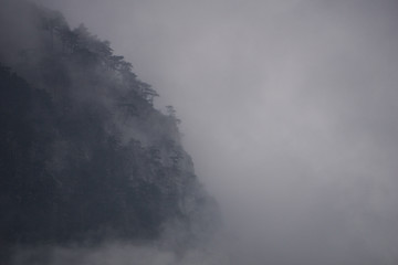 Fototapeta premium Heavy fog engulfing the rugged cliffs of the Cerna Mountains and their pine forests